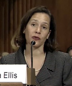Sara L. Ellis