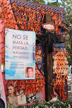 Miroslava Breach Velducea