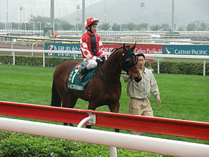 Alex H W Lai