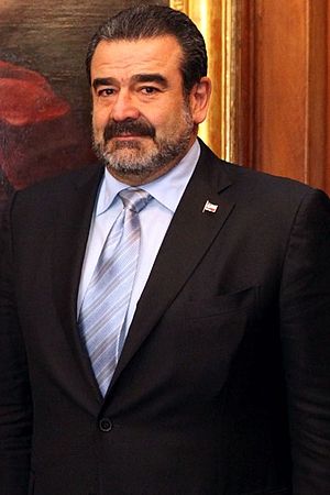 Andrónico Luksic Craig